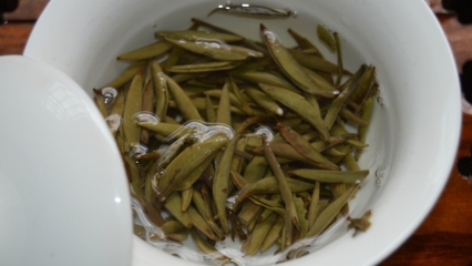 早白尖多少钱