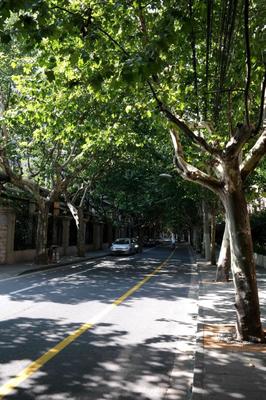 上海思南路在哪个区