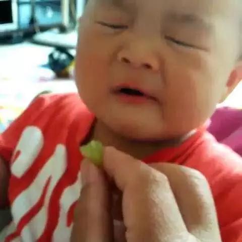 七个月宝宝可以吃葡萄吗