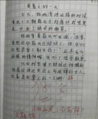 暑假写作业作文400字作文怎么写
