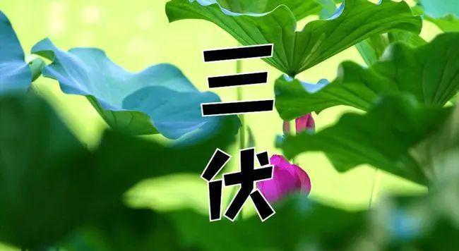 今年大暑时间