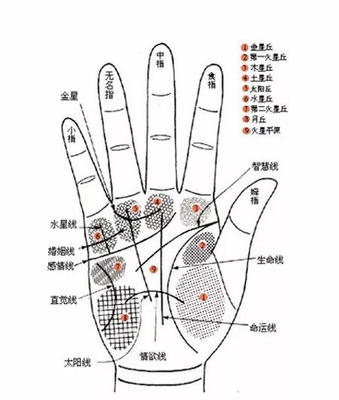 命运线止于智慧线