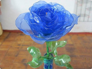 塑料瓶怎么做玫瑰花