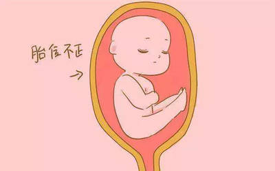 胎儿胎位什么时候固定