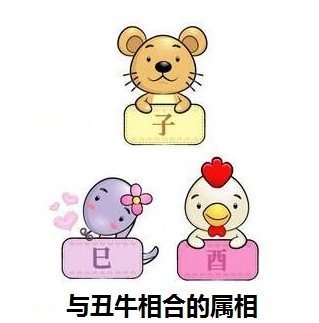 属龙和属蛇相克吗