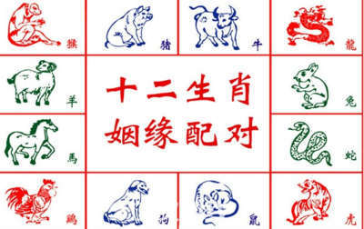 马相冲的属相