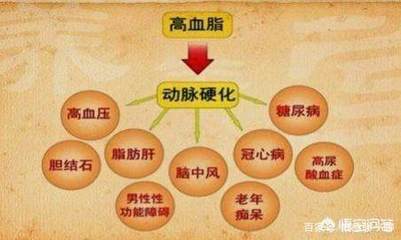 胆固醇高是怎么回事