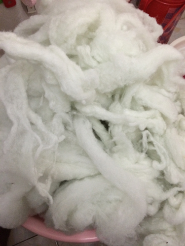 棉花可以洗吗