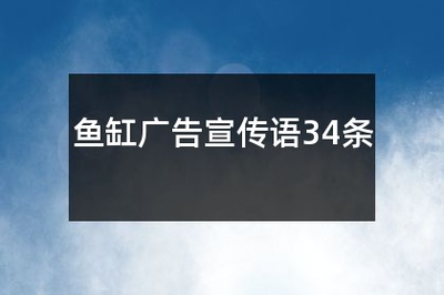 莊河市新天地王海成水族店（莊河市新天地王海成水族店地址） 全國(guó)水族館企業(yè)名錄