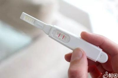 怀孕了几条杠