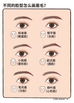 标准眉最适合什么脸型