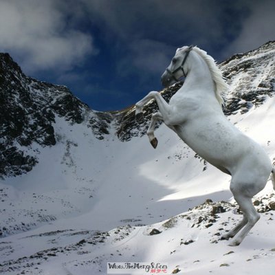 做梦梦见爬雪山
