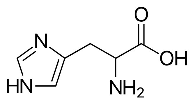 组氨酸的作用和功效