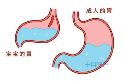 新生儿胃图片
