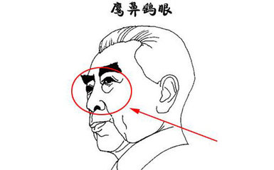 勾鼻子男人面相