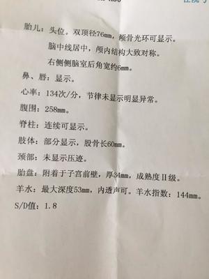 胎儿24周是几个月