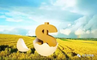 农村农业贷款