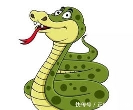 看到蛇是不是运气不好