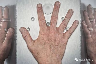 怎么样看手相图解算命运