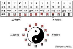 春字属于五行属什么