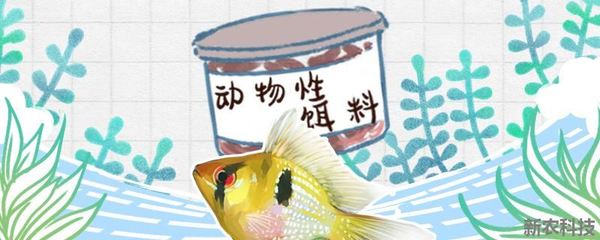 详细阅读:Discover the Exotic World of <strong><mark>arowana</mark></strong> in Yongin: A Comprehensive Guide to Location, Distribution, Business Hours, and Products Discover the Exotic World of <strong><mark>arowana</mark></strong> in Yongin: A Comprehensive Guide to Location, Distribution, Business Hours, and Products
