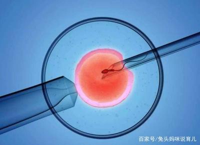 试管宝宝的寿命有多长
