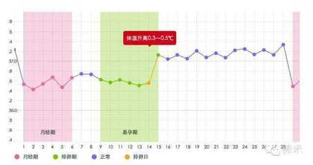 增加怀孕几率的方法