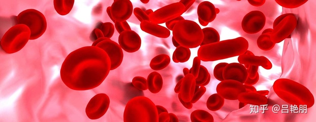一个正常人身体里有多少血液