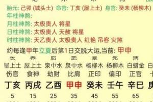 算八字网站