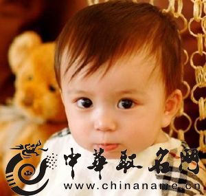 龙年宝宝起名