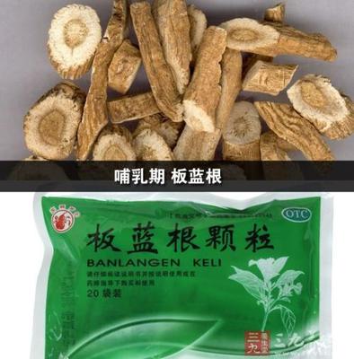 板蓝根孕妇可以吃吗