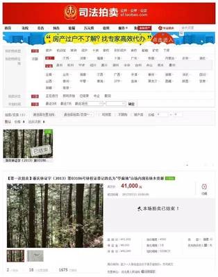 林权证可以过户吗