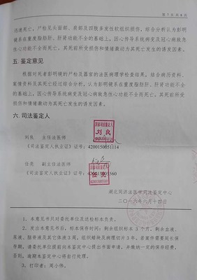 鉴定结论属于什么证据