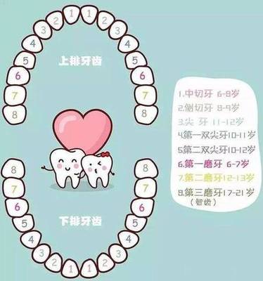 宝宝换牙长歪了怎么办