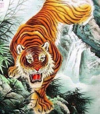 属虎男人看上你的表现