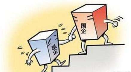 政府是法人吗