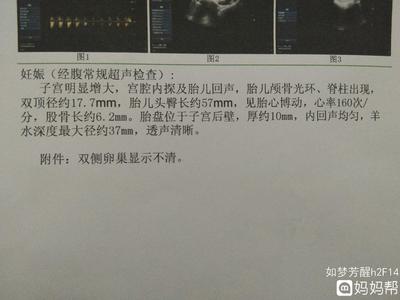 二个月胎儿有多大