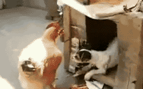 莫名其妙的名是什么意思 莫名其妙的名是什么意思啊?