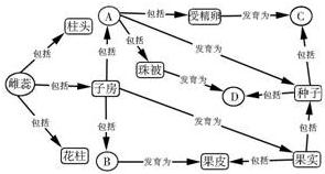 紧线注意哪些事项