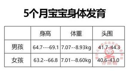 五个月宝宝身高体重标准是多少