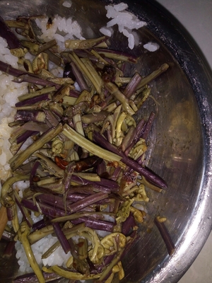 怀孕可以吃蕨菜