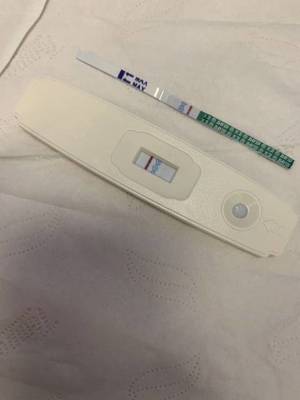 怀孕第一个月会来大姨妈吗