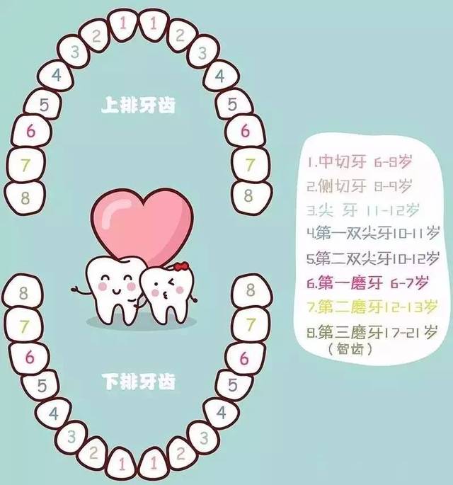宝宝乳牙生长顺序错了