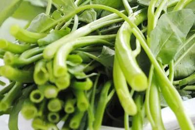 怀孕能吃通心菜吗