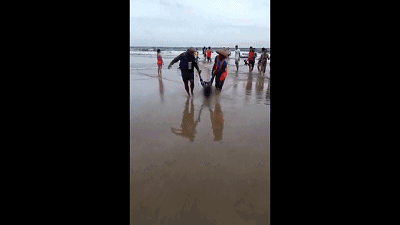 溺水視頻
