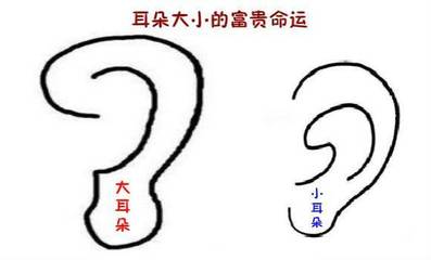 耳垂小的人命运怎么样