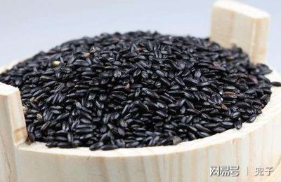 一岁宝宝可以吃黑米吗