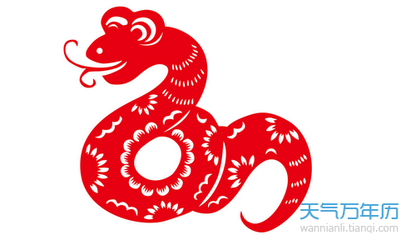 2001年属蛇什么命