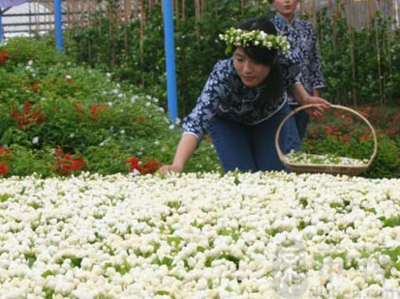 孕妇梦见白花