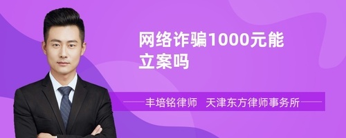 网络诈骗1000元立案吗